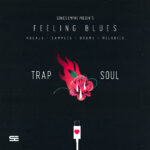 feeling blues is a soulful sample pack