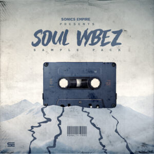 Soul Vybez