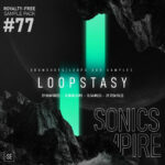 loopstasy Drums & Melody Loops